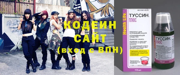 гашик Бородино