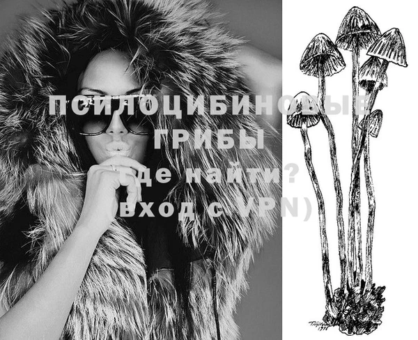 крисы Волосово