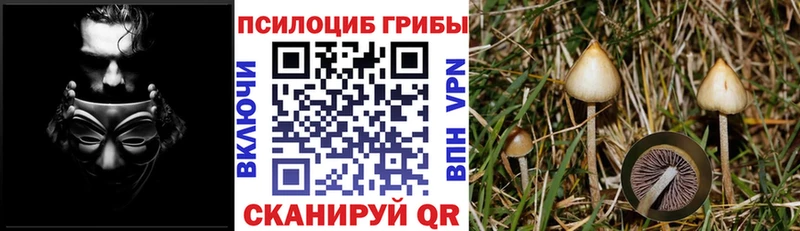 Галлюциногенные грибы ЛСД Мезень